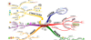 Clarifier ses ides et ses prsentations avec le Mind Mapping (module 1) | Animatrice : Marie-Claire Vincent